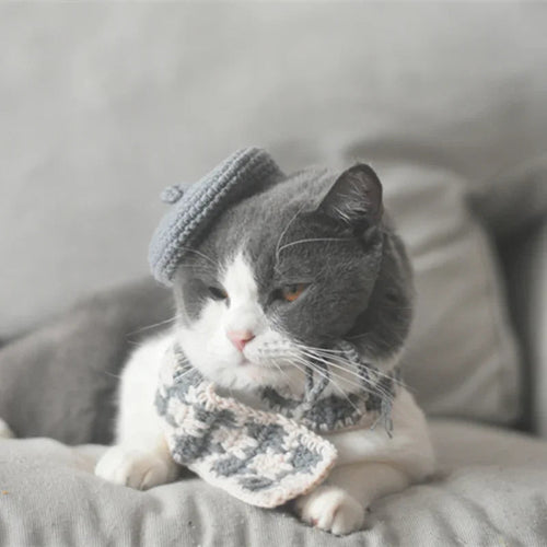 Dailypets Artist Beret and Plaid Scarf Set for Stylish Indoor Cats