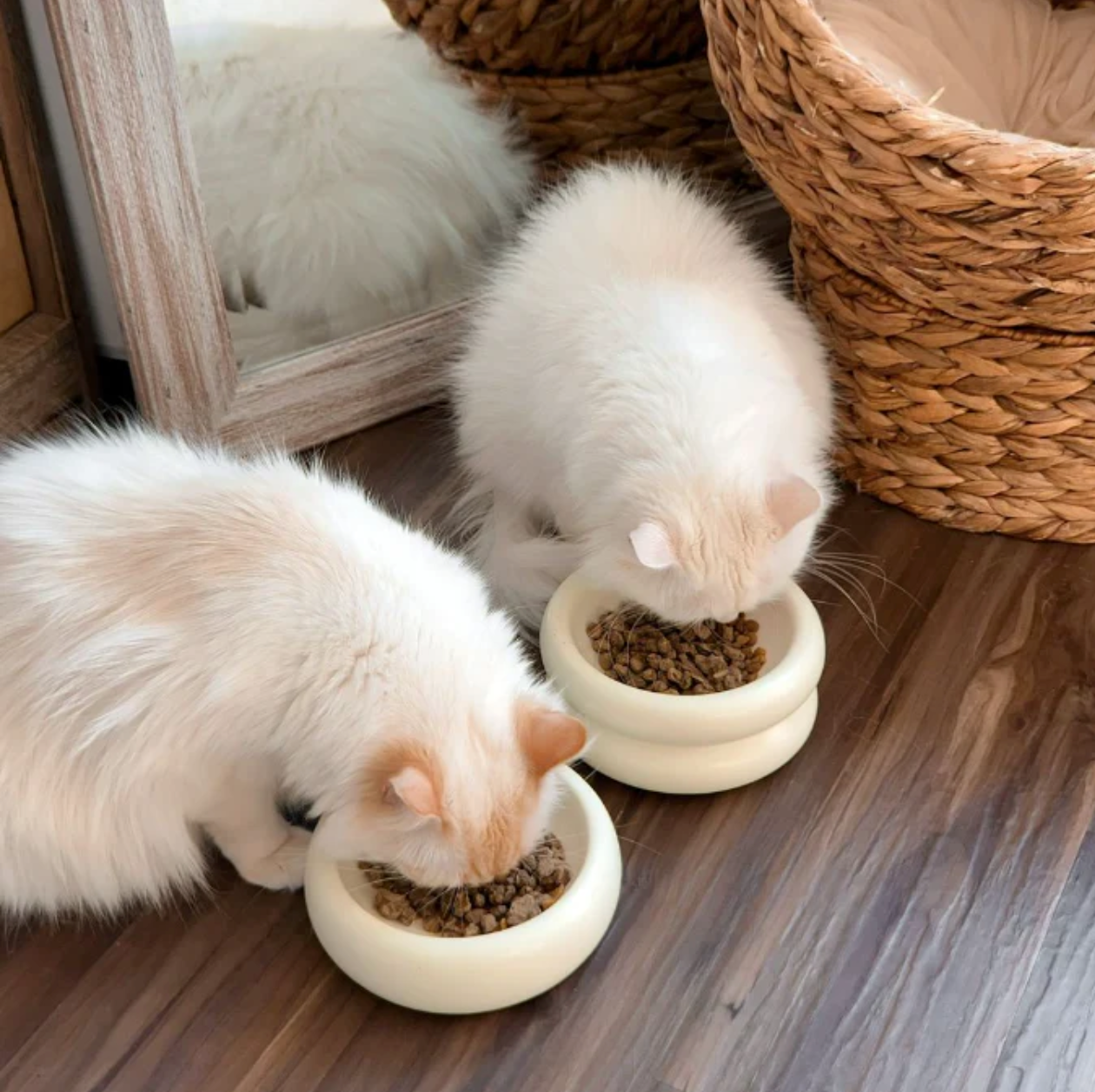 Dailypets Elevated Ceramic Cat Dining Bowl