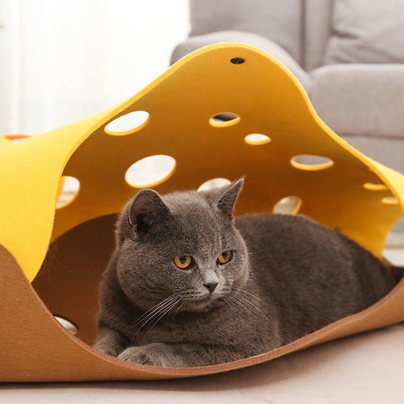 Dailypets Collapsible Felt Cat Tunnel – Foldable Interactive Play Tunnel for Indoor Cats