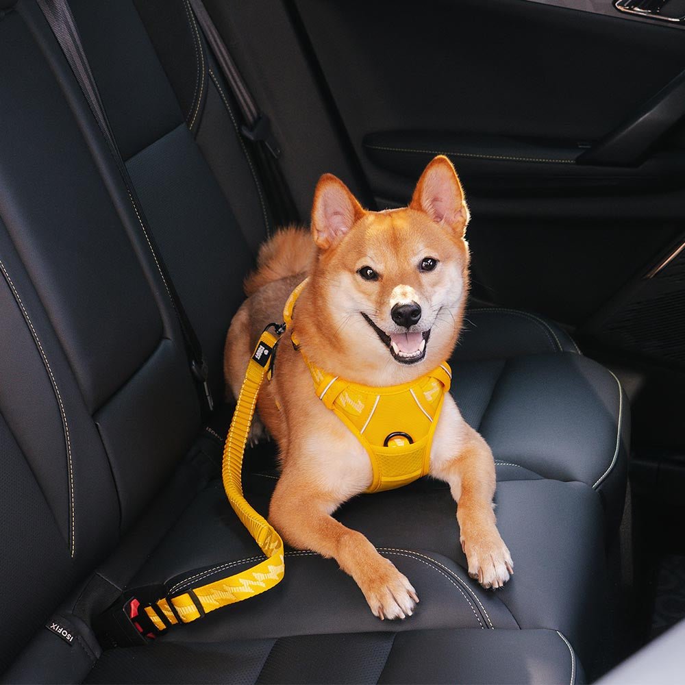 Dailypets Adjustable Dog Car Seat Belt with Reflective Bungee Design for Safe Travel