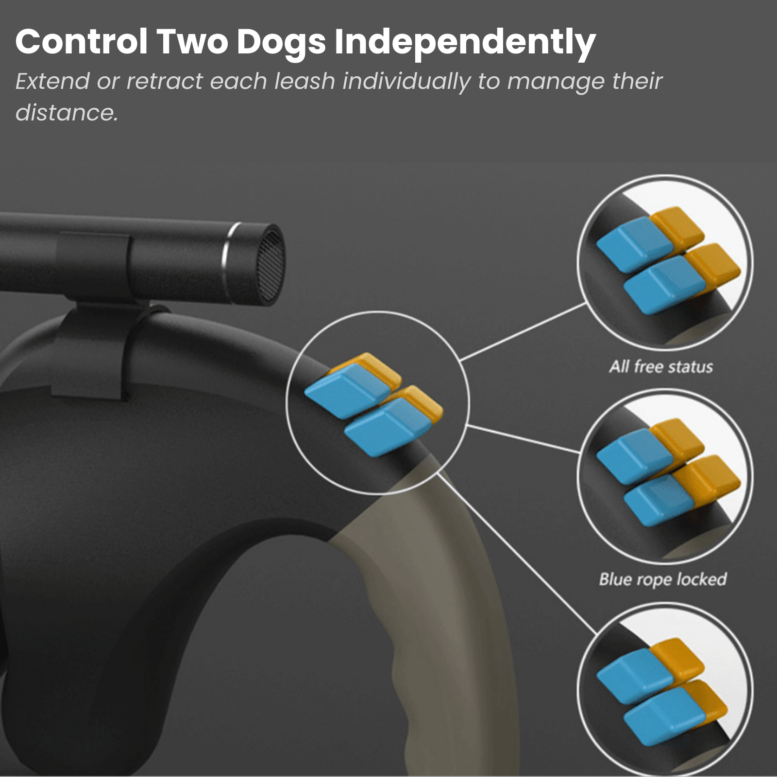 Dailypets Dual Retractable Dog Leash with 360° Swivel and Independent Brake Controls