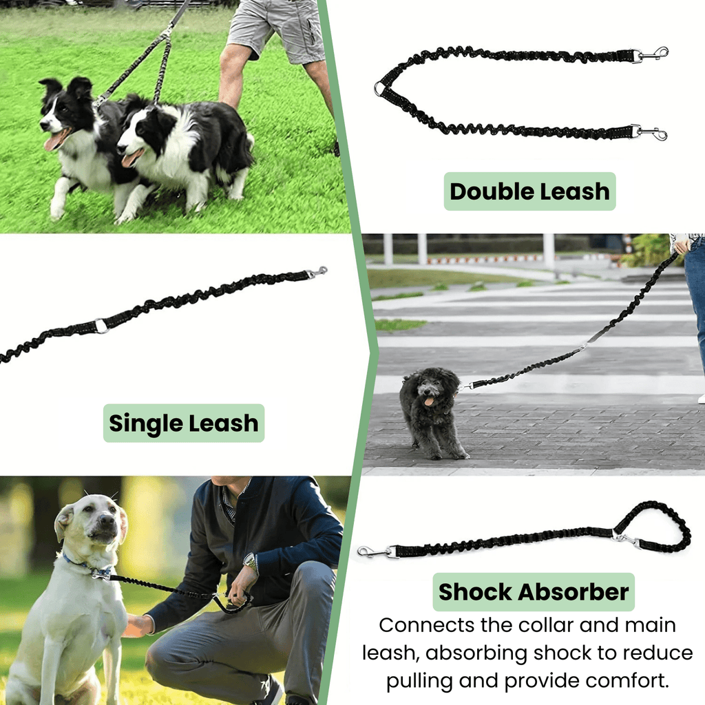 Dailypets Dual Pet Leash Attachment for Two Dogs with Reflective Stitching and Swivel