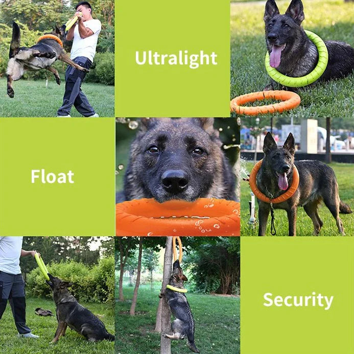 Dailypets Durable EVA Dog Ring Toy for Interactive Play & Training