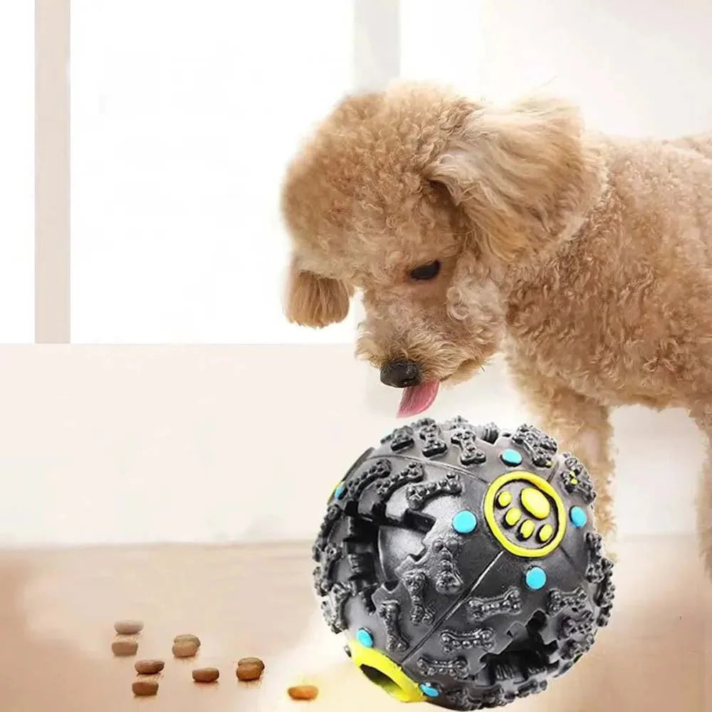 Dailypets Interactive Treat Dispensing Ball for Dogs – Dental Chew Toy