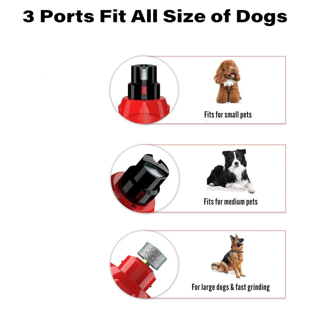 Dailypets Electric Pet Nail Grinder with Dual LED Lights and USB Rechargeable Design
