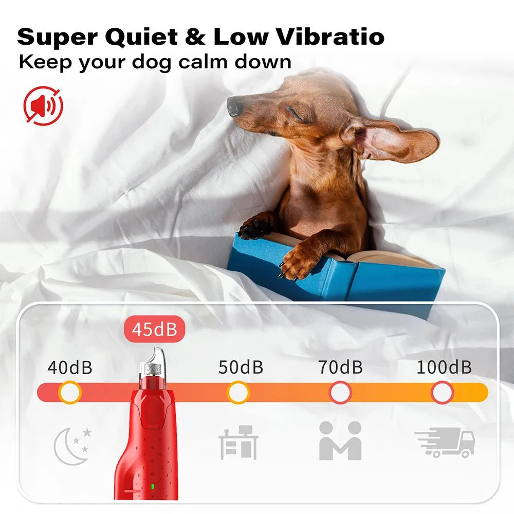 Dailypets Electric Pet Nail Grinder with Dual LED Lights and USB Rechargeable Design