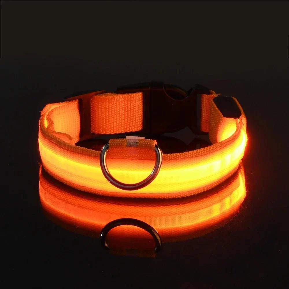 Dailypets USB Rechargeable LED Dog Collar with Adjustable Fit for Night Walks