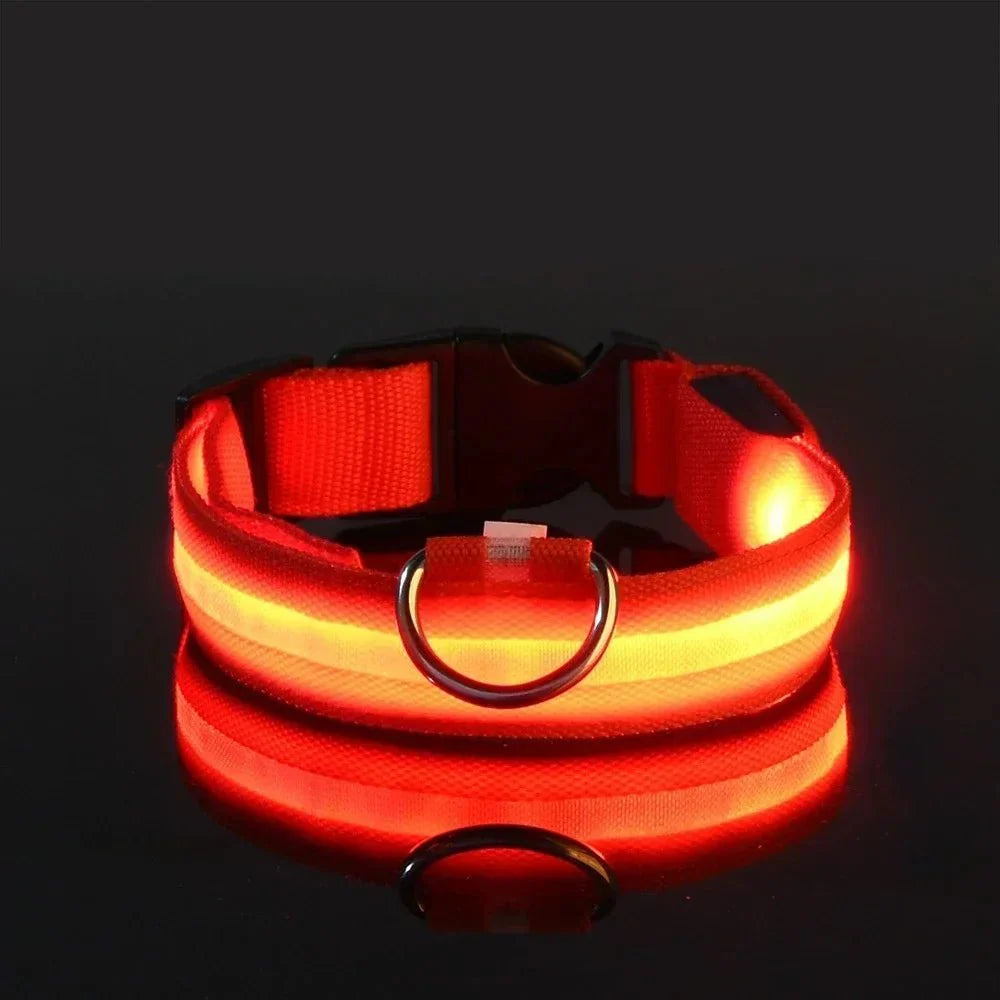 Dailypets USB Rechargeable LED Dog Collar with Adjustable Fit for Night Walks
