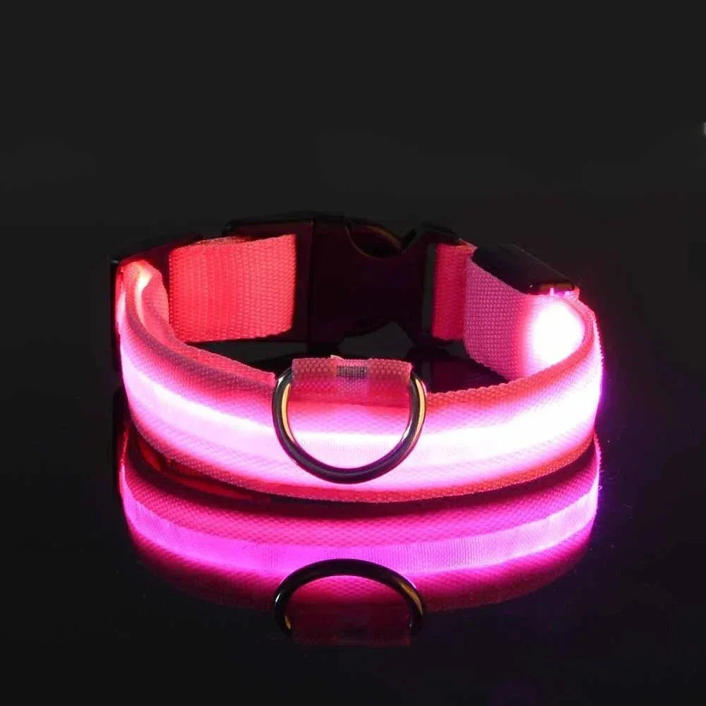 Dailypets USB Rechargeable LED Dog Collar with Adjustable Fit for Night Walks