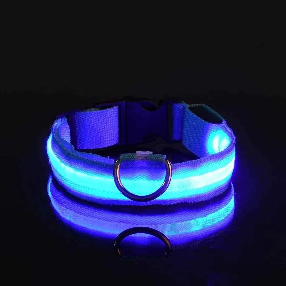 Dailypets USB Rechargeable LED Dog Collar with Adjustable Fit for Night Walks