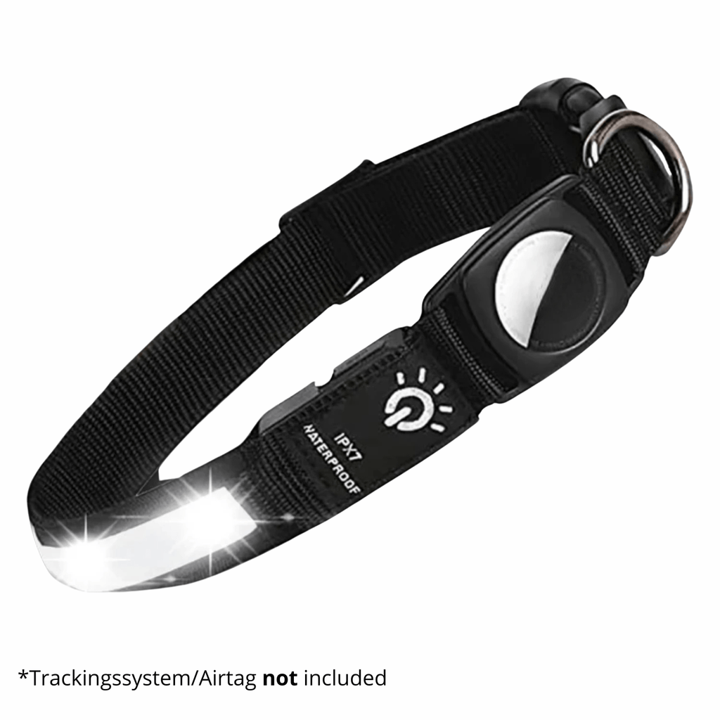 Dailypets LED GPS Dog Collar with AirTag Holder, USB Rechargeable and Waterproof Design