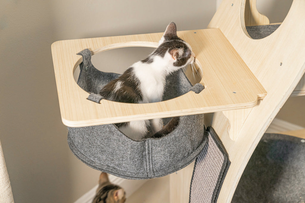 Dailypets Wooden Cat Tree Condo, Multi-Level Tower with Hammock and Cubby