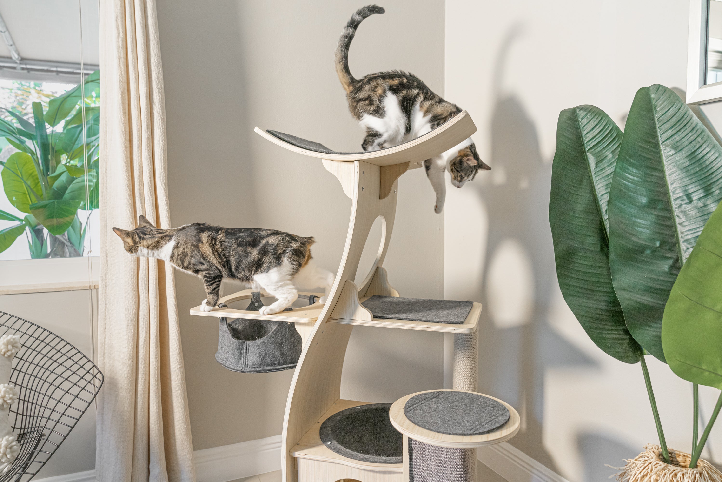 Dailypets Wooden Cat Tree Condo, Multi-Level Tower with Hammock and Cubby