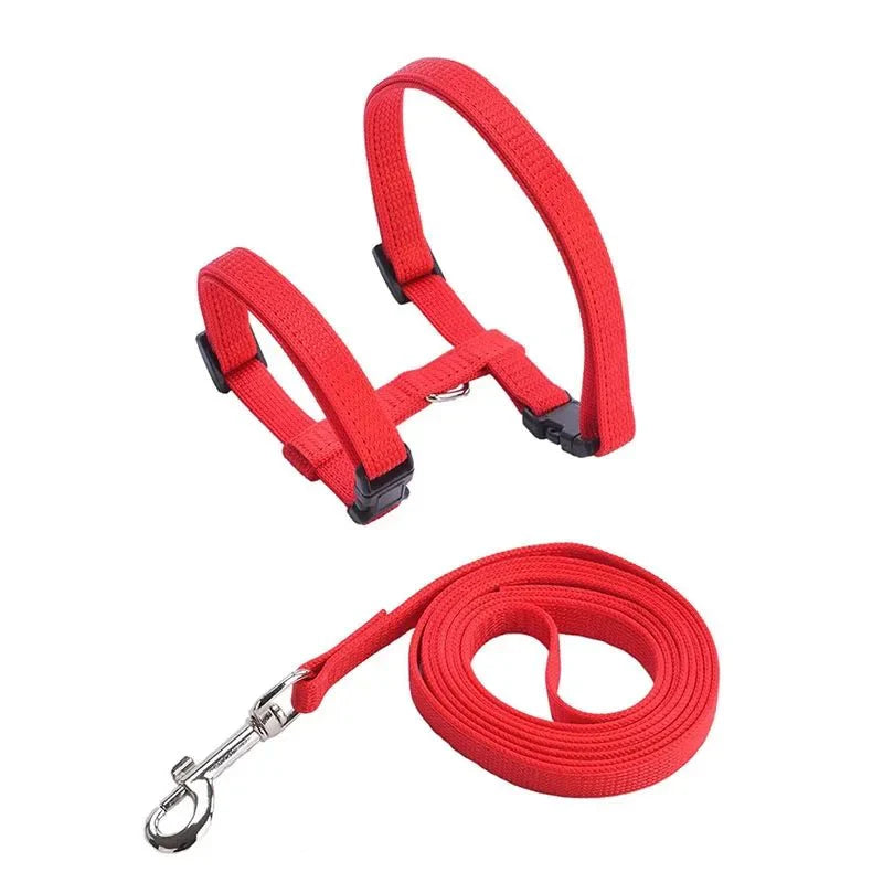 Dailypets Adjustable Nylon H Harness with Walking Leash for Small Pets