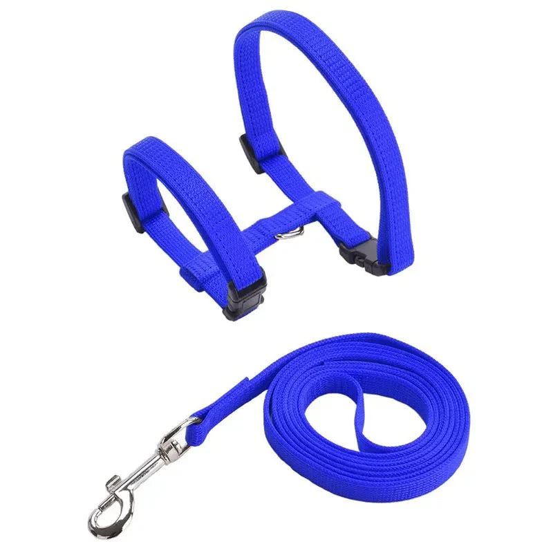Dailypets Adjustable Nylon H Harness with Walking Leash for Small Pets