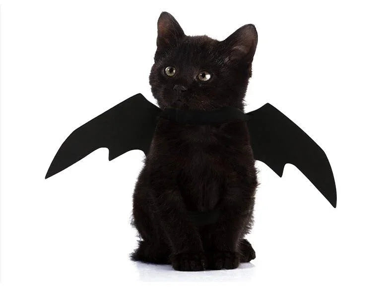 Dailypets Halloween Bat Wings for Cats with Lightweight Pet-Friendly Design