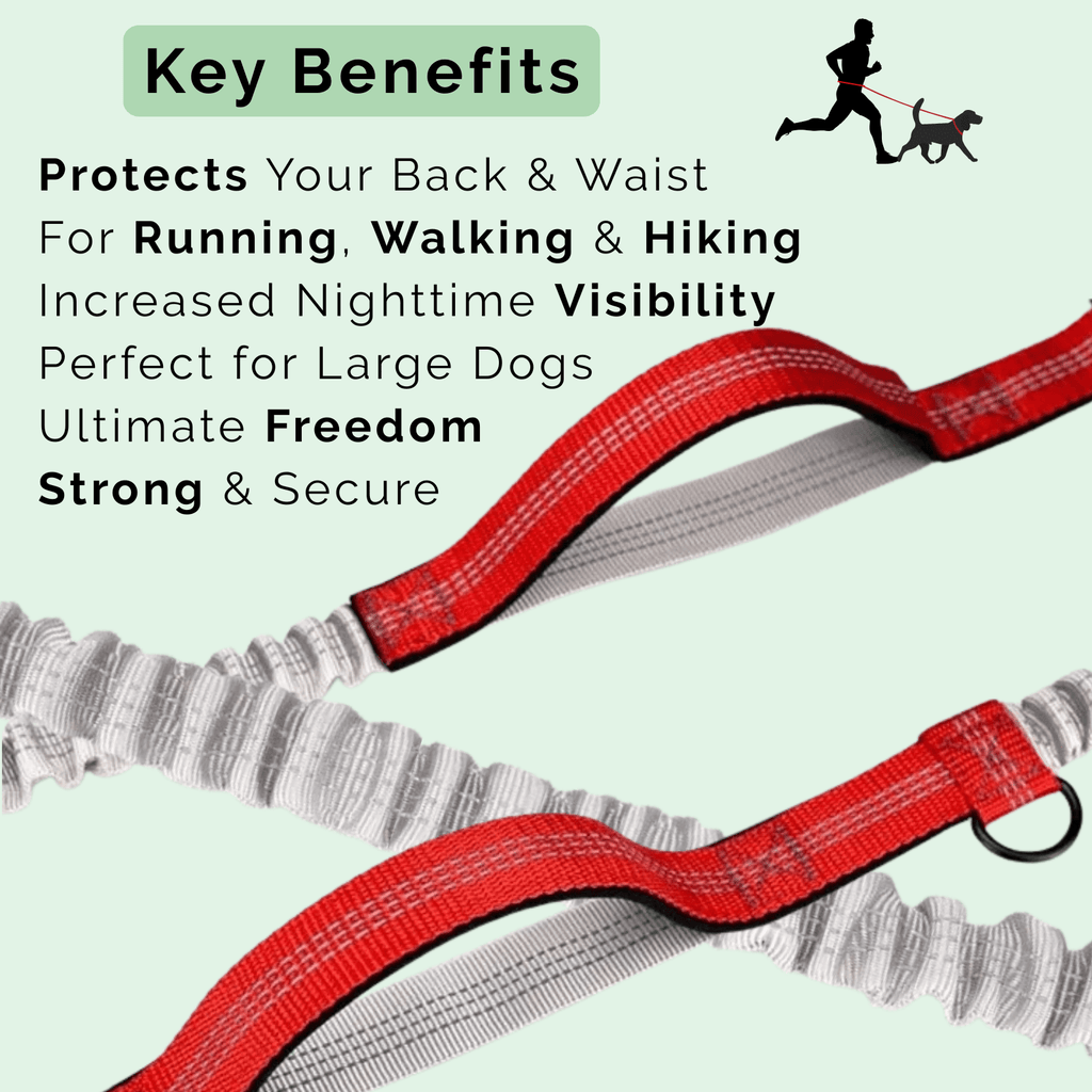 Dailypets Hands-Free Dog Leash with Adjustable Waist Belt & Dual Bungee Design