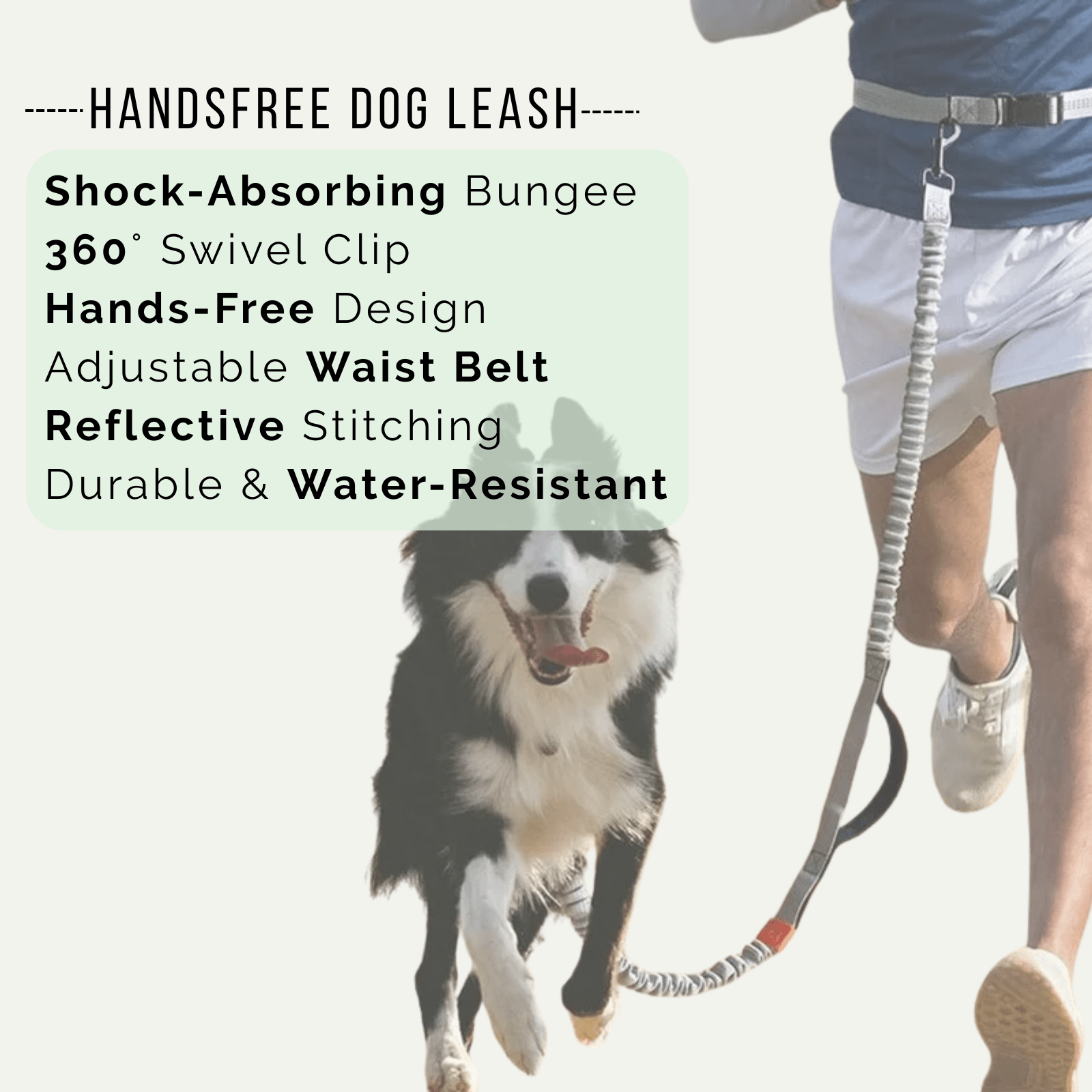 Dailypets Hands-Free Dog Leash with Adjustable Waist Belt & Dual Bungee Design