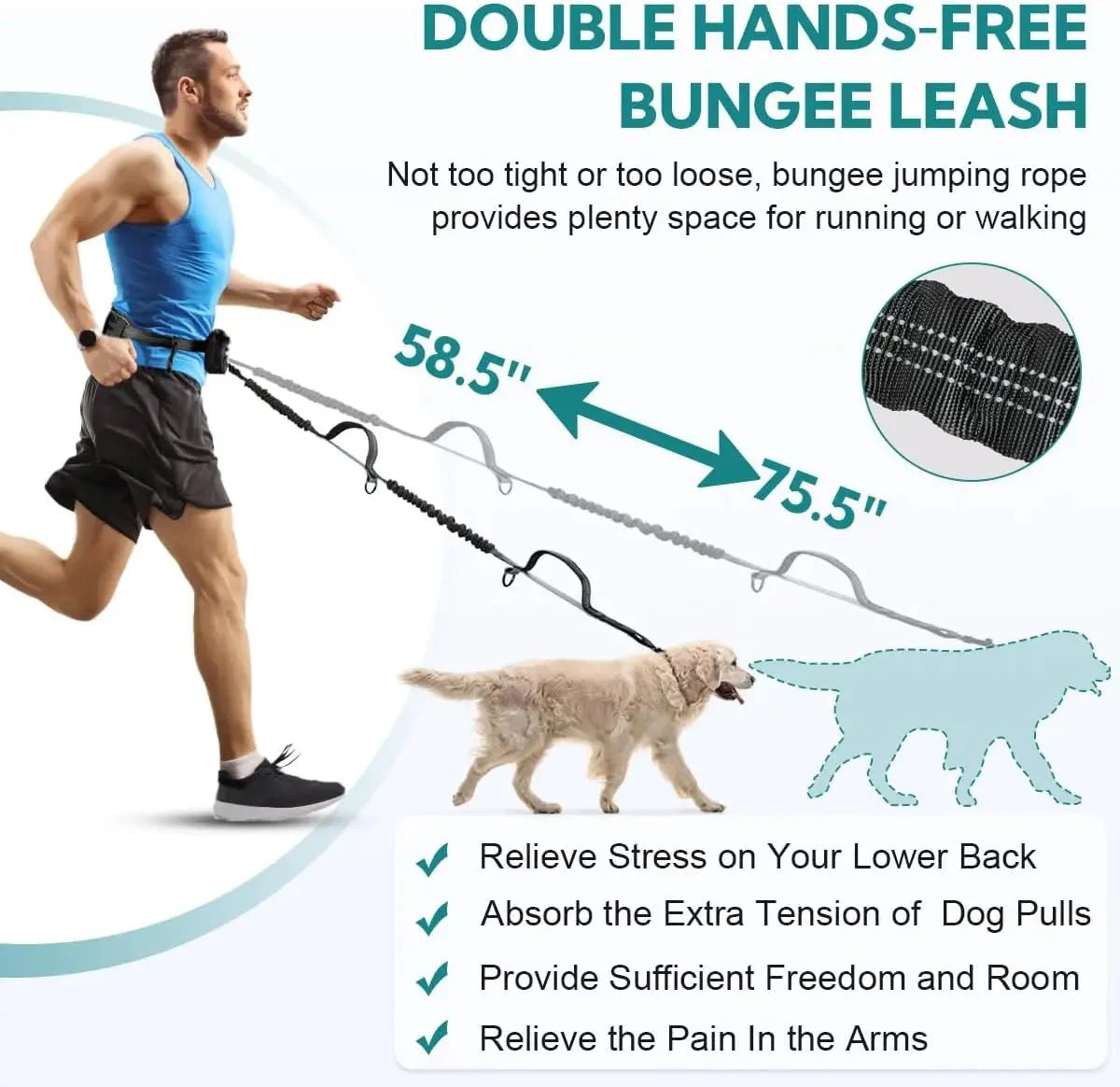 Dailypets Hands-Free Double Dog Leash with Adjustable Waist Belt and Storage Pouch