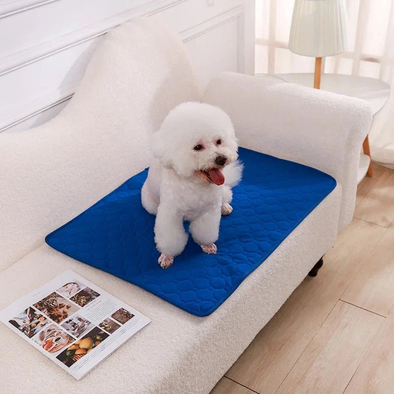 Dailypets Washable Pet Training Pad with Waterproof Base for Dogs and Puppies Daily