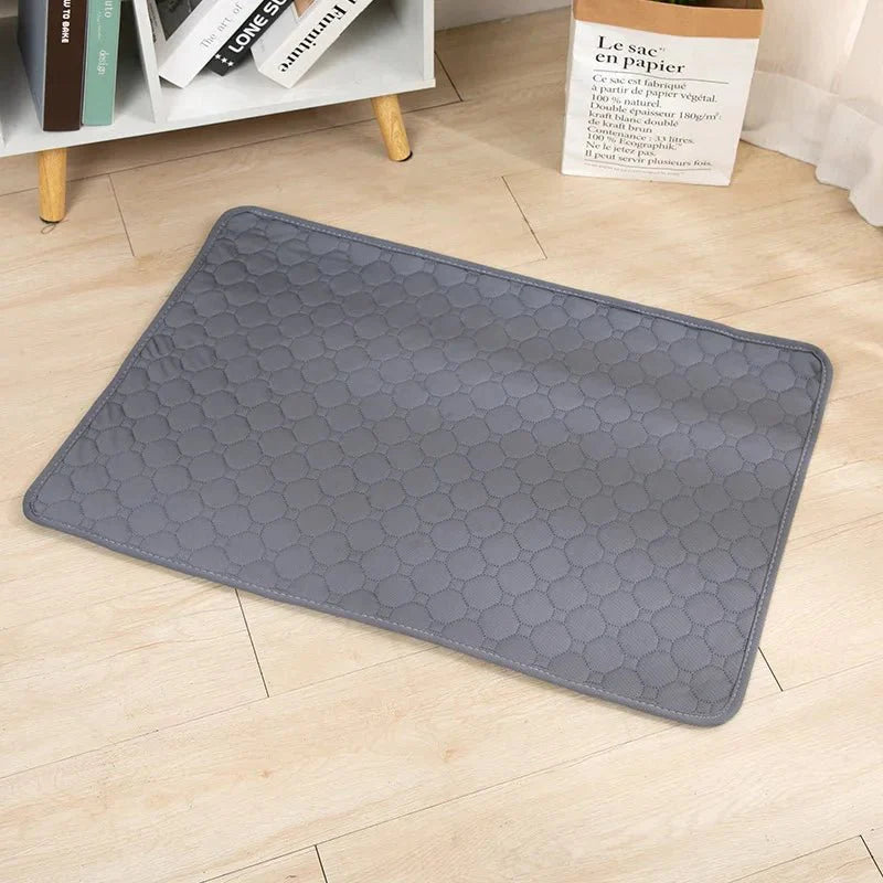 Dailypets Washable Pet Training Pad with Waterproof Base for Dogs and Puppies Daily