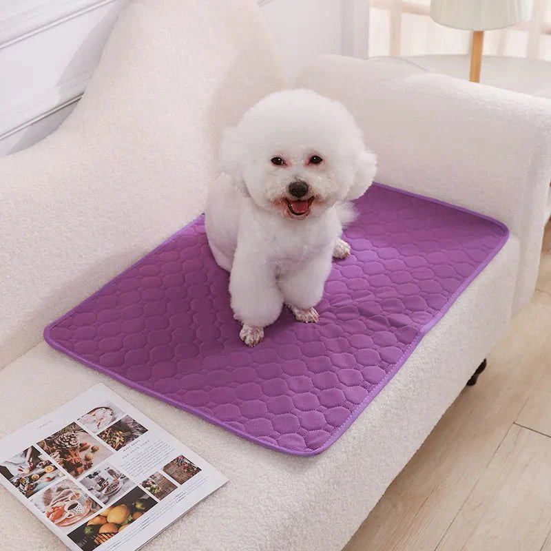 Dailypets Washable Pet Training Pad with Waterproof Base for Dogs and Puppies Daily