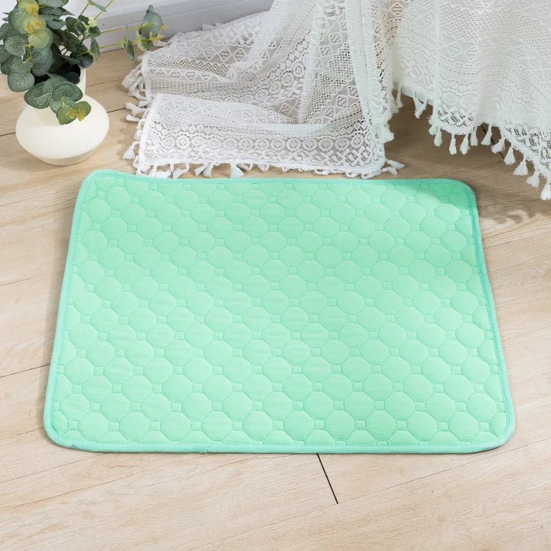 Dailypets Washable Pet Training Pad with Waterproof Base for Dogs and Puppies Daily