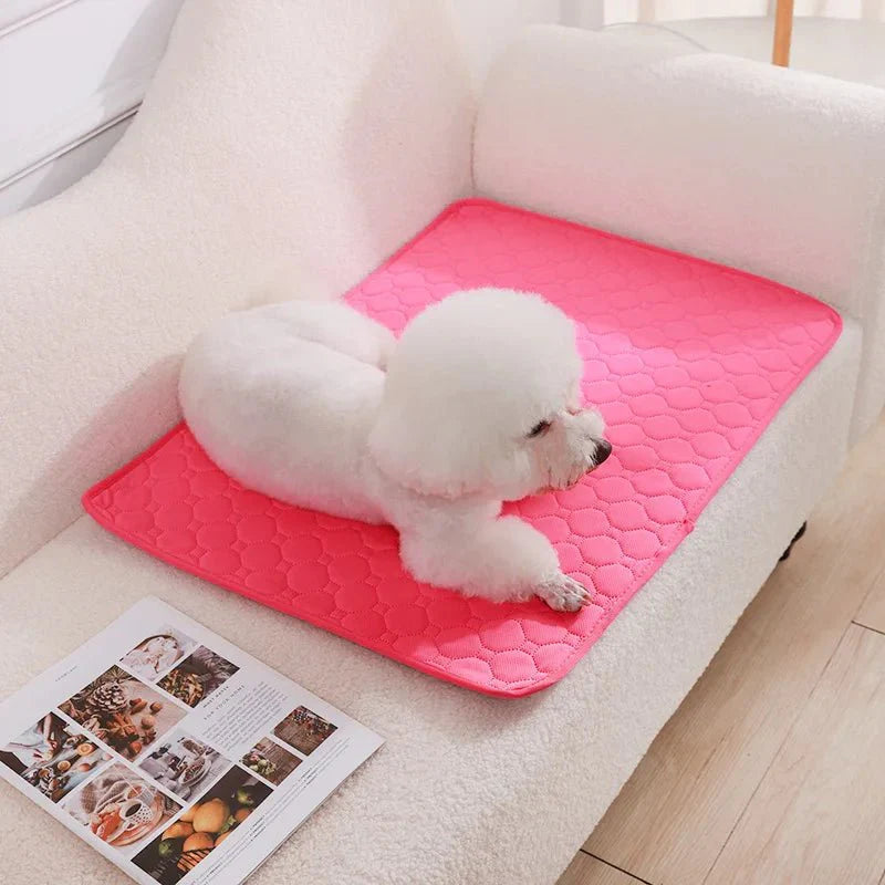 Dailypets Washable Pet Training Pad with Waterproof Base for Dogs and Puppies Daily