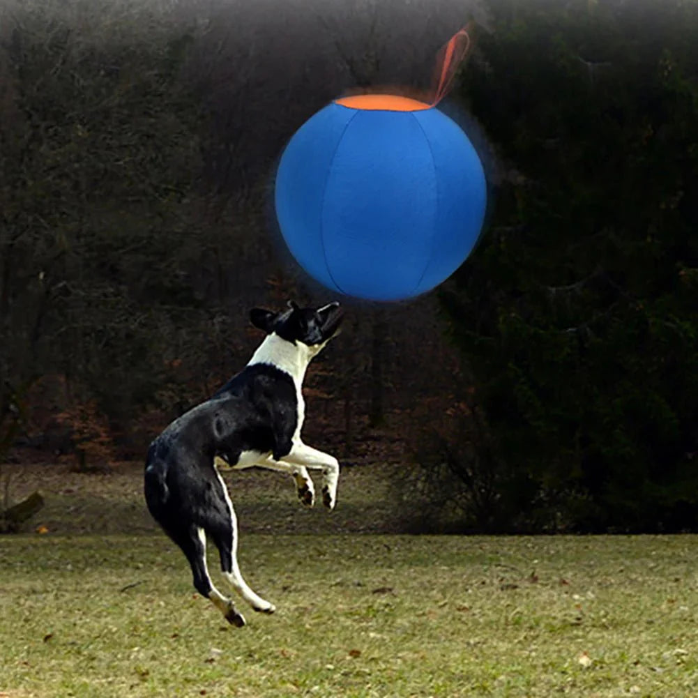 Dailypets Large Outdoor Herding Ball for Dogs with Polyester Construction and Hand Pump