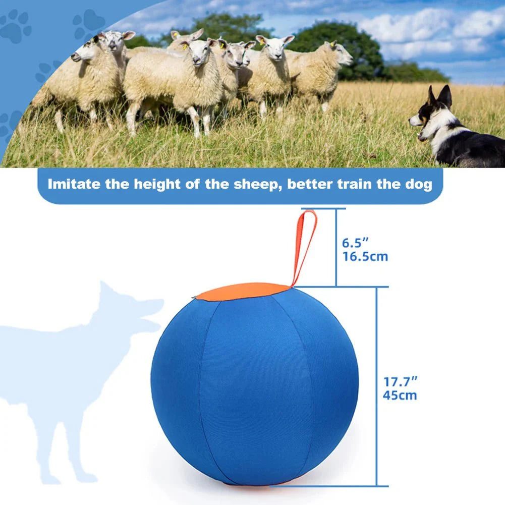 Dailypets Large Outdoor Herding Ball for Dogs with Polyester Construction and Hand Pump