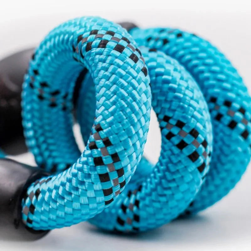 Dailypets Adjustable P-Chain Dog Collar with Reflective Strips for Everyday Training