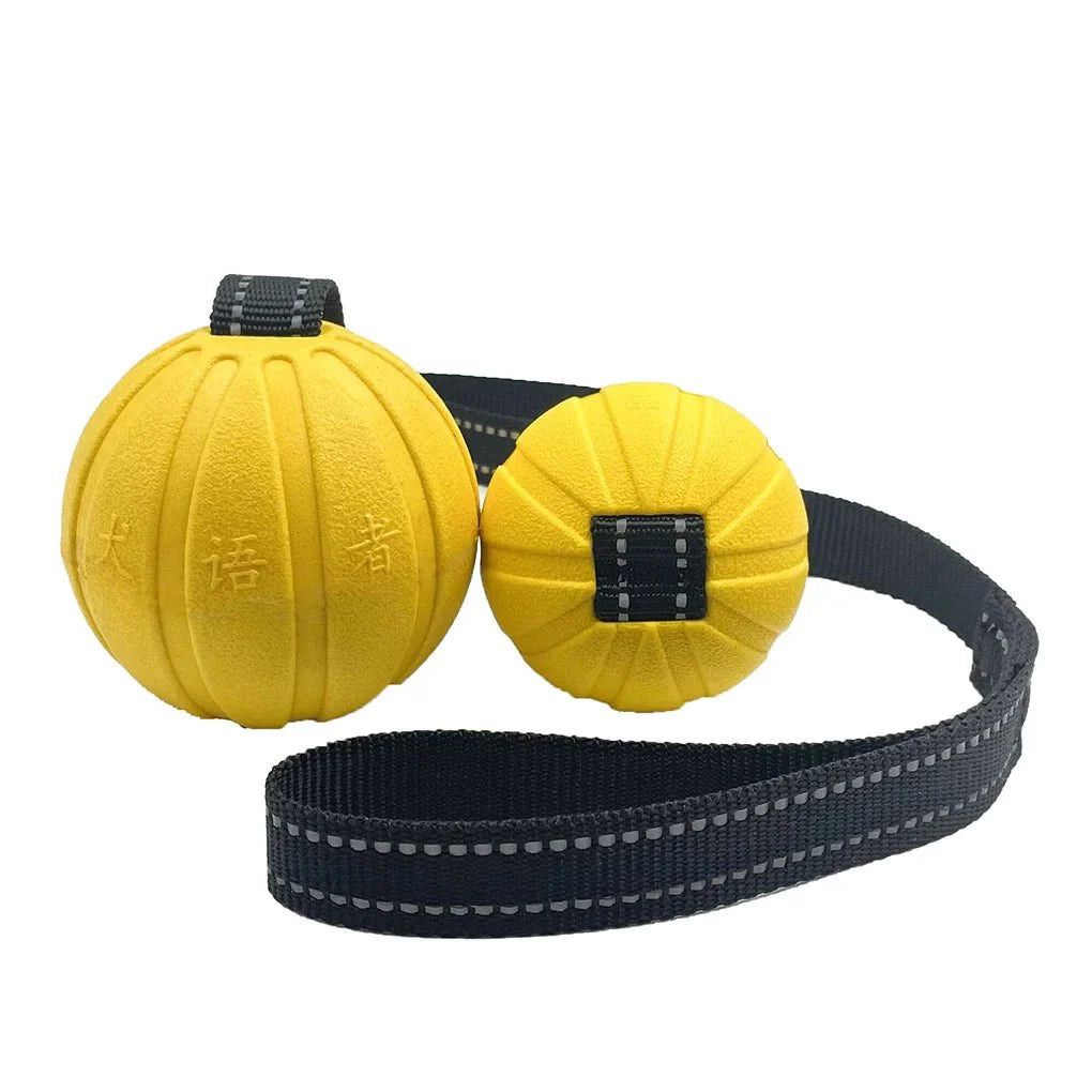 Dailypets Dog Rope Ball Toy for Chewing, Swimming & Outdoor Fun