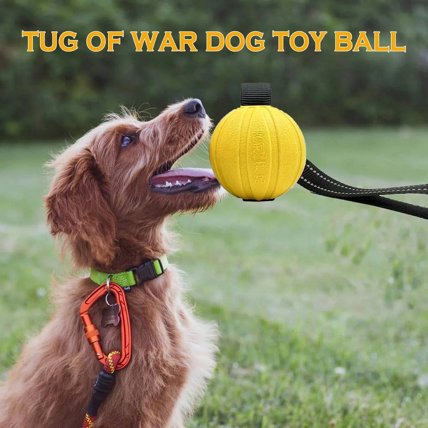 Dailypets Dog Rope Ball Toy for Chewing, Swimming & Outdoor Fun