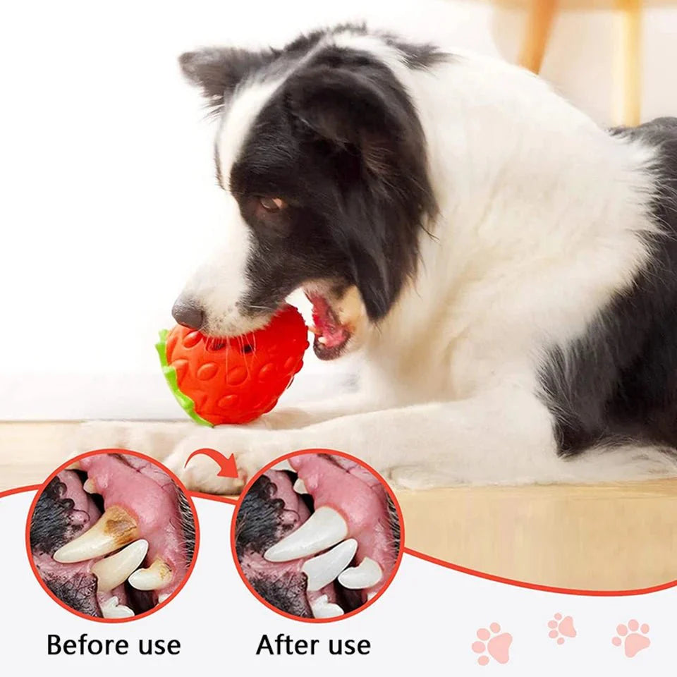 Dailypets Strawberry Treat Dispensing Dog Toy for Chewing & Slow Feeding