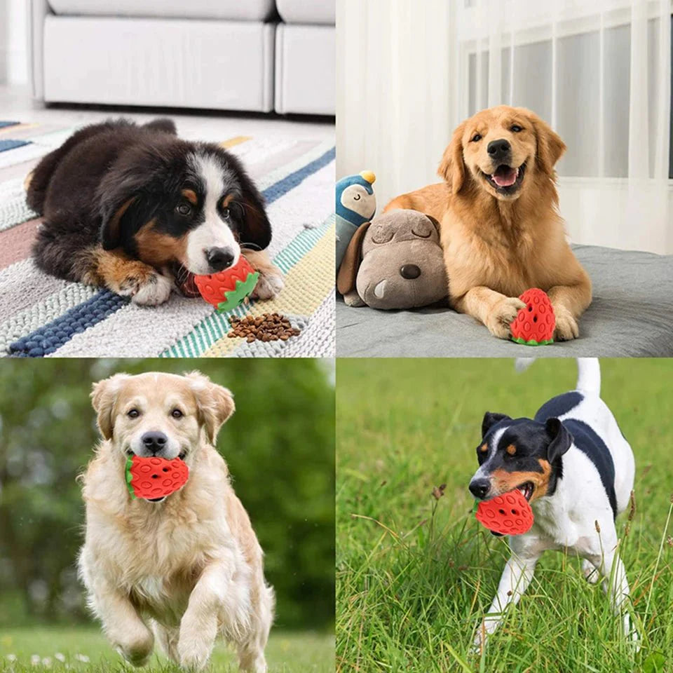 Dailypets Strawberry Treat Dispensing Dog Toy for Chewing & Slow Feeding