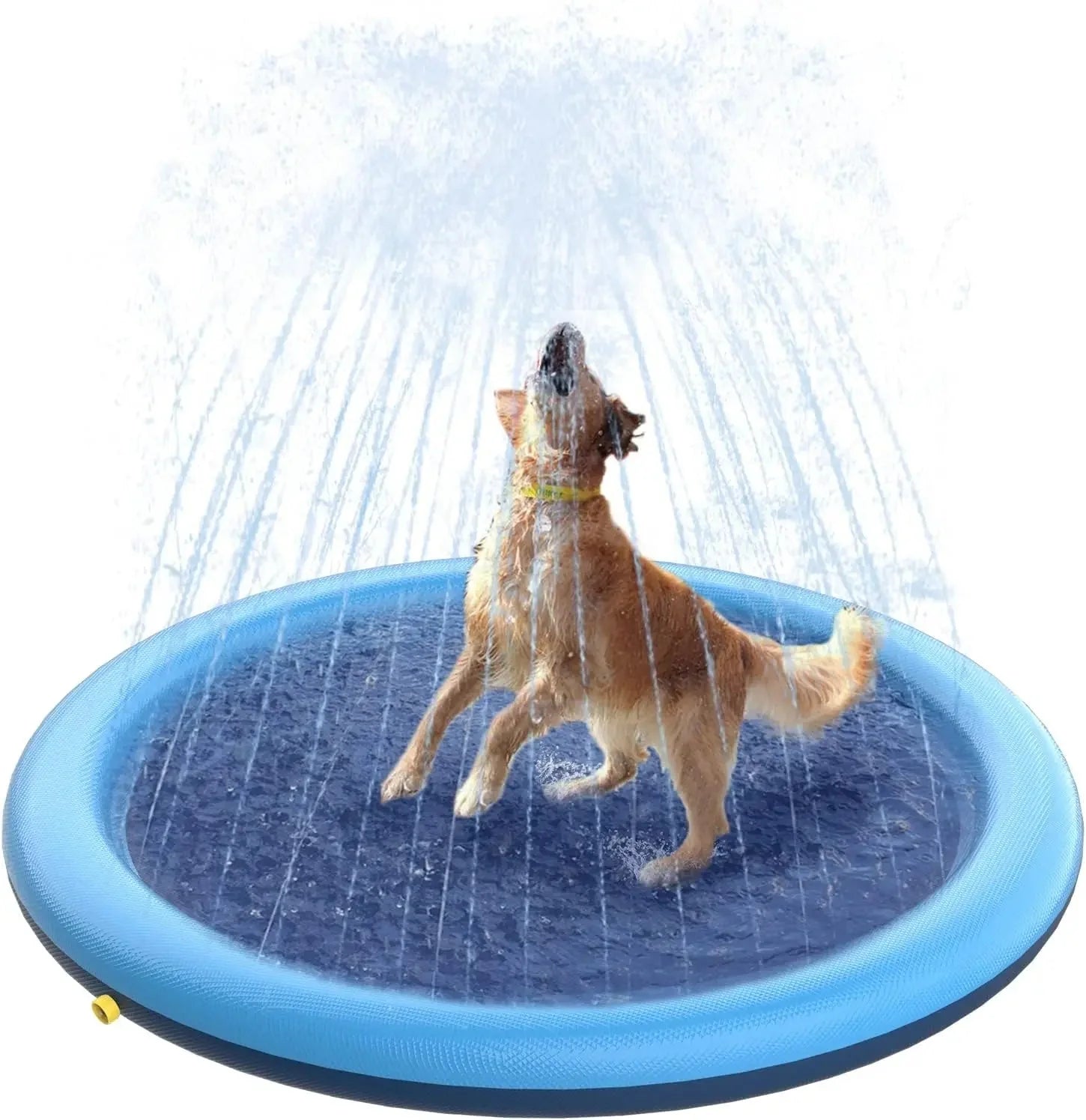 Dailypets Splash Pad for Dogs – Durable Outdoor Cooling Water Mat