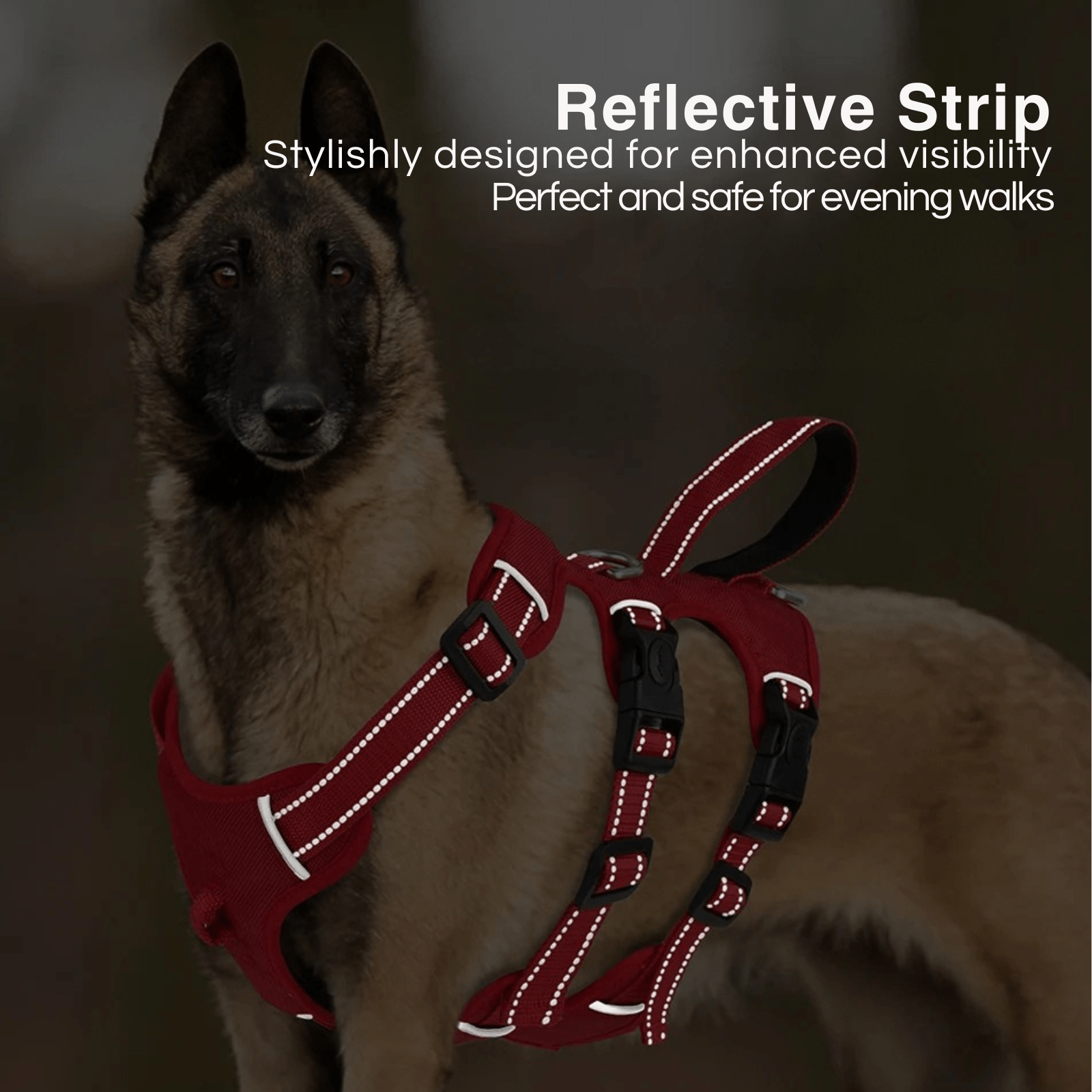 Dailypets Heavy Duty Dog Harness with Soft Padding and Reflective Adjustable Design