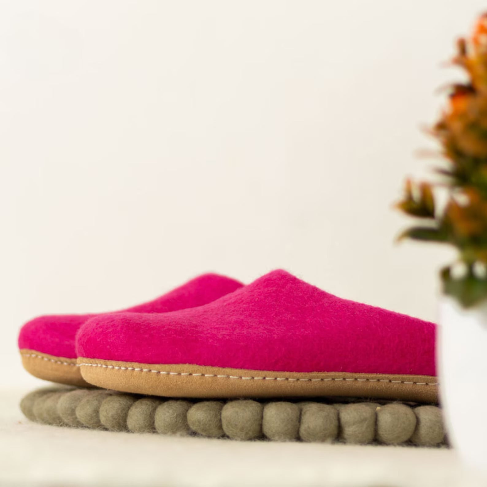 Dailypets Wool Lounge Slippers for Everyday Wear