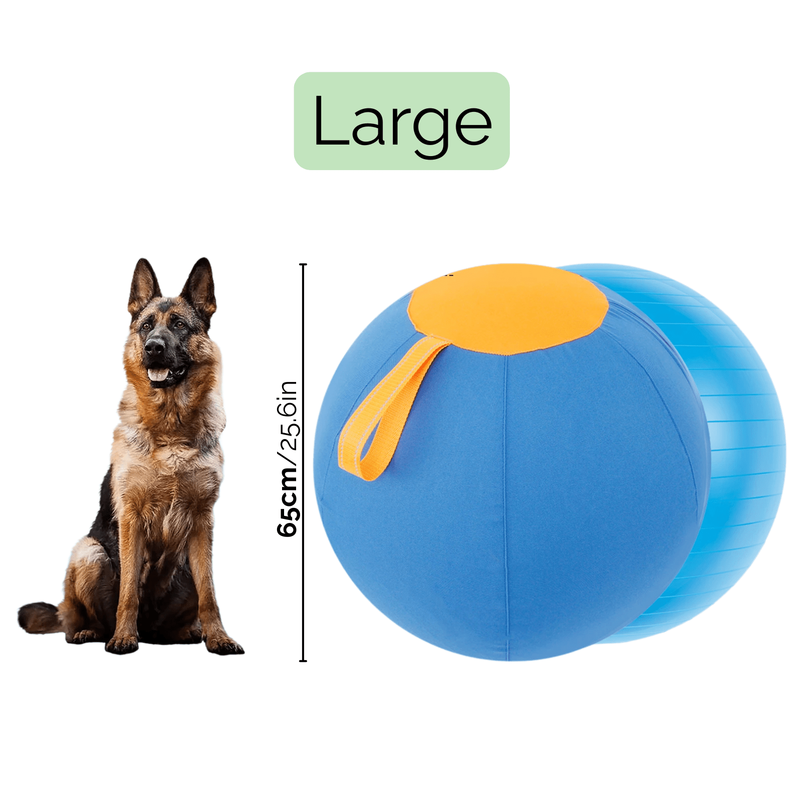 Dailypets Interactive Herding Ball for Dogs with Durable Cover & Pump