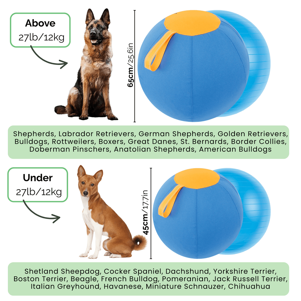Dailypets Interactive Herding Ball for Dogs with Durable Cover & Pump