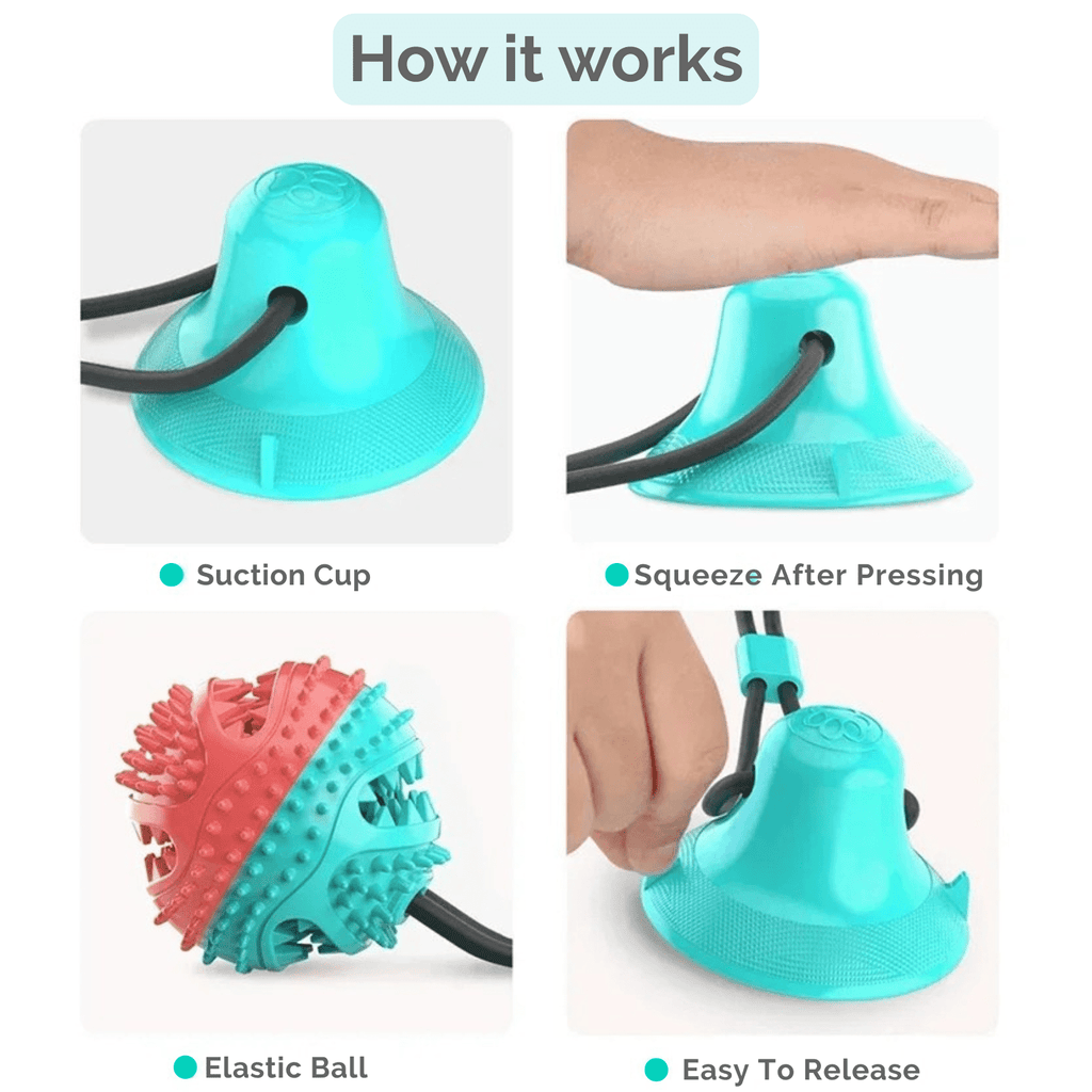 Dailypets Suction Cup Dog Toy for Chewing, Tugging & Treat Dispensing