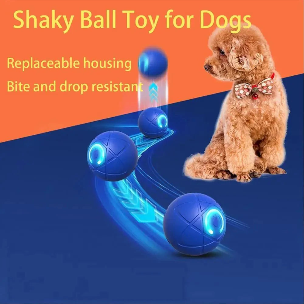 Dailypets Smart Rolling Ball for Pets with Touch Activation and Rechargeable Design