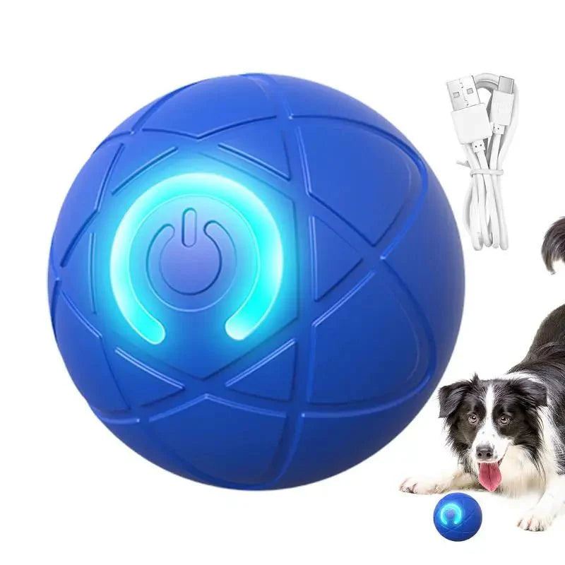 Dailypets Smart Rolling Ball for Pets with Touch Activation and Rechargeable Design