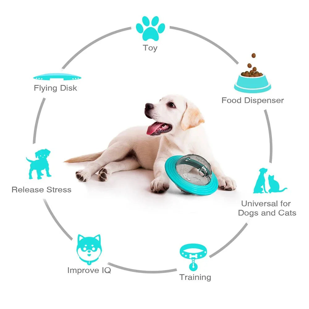 Dailypets Interactive Treat Dispensing Ball for Dogs – IQ Training Toy