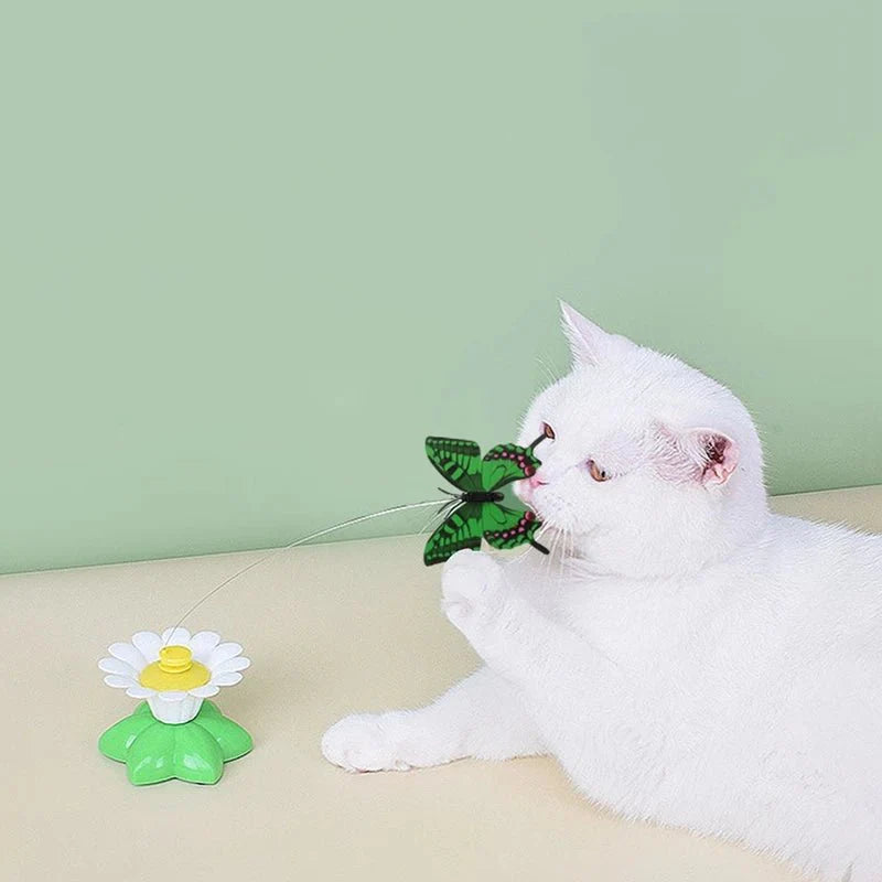 Dailypets Interactive Flying Cat Toy – 360° Butterfly & Bird Teaser for Indoor Cats