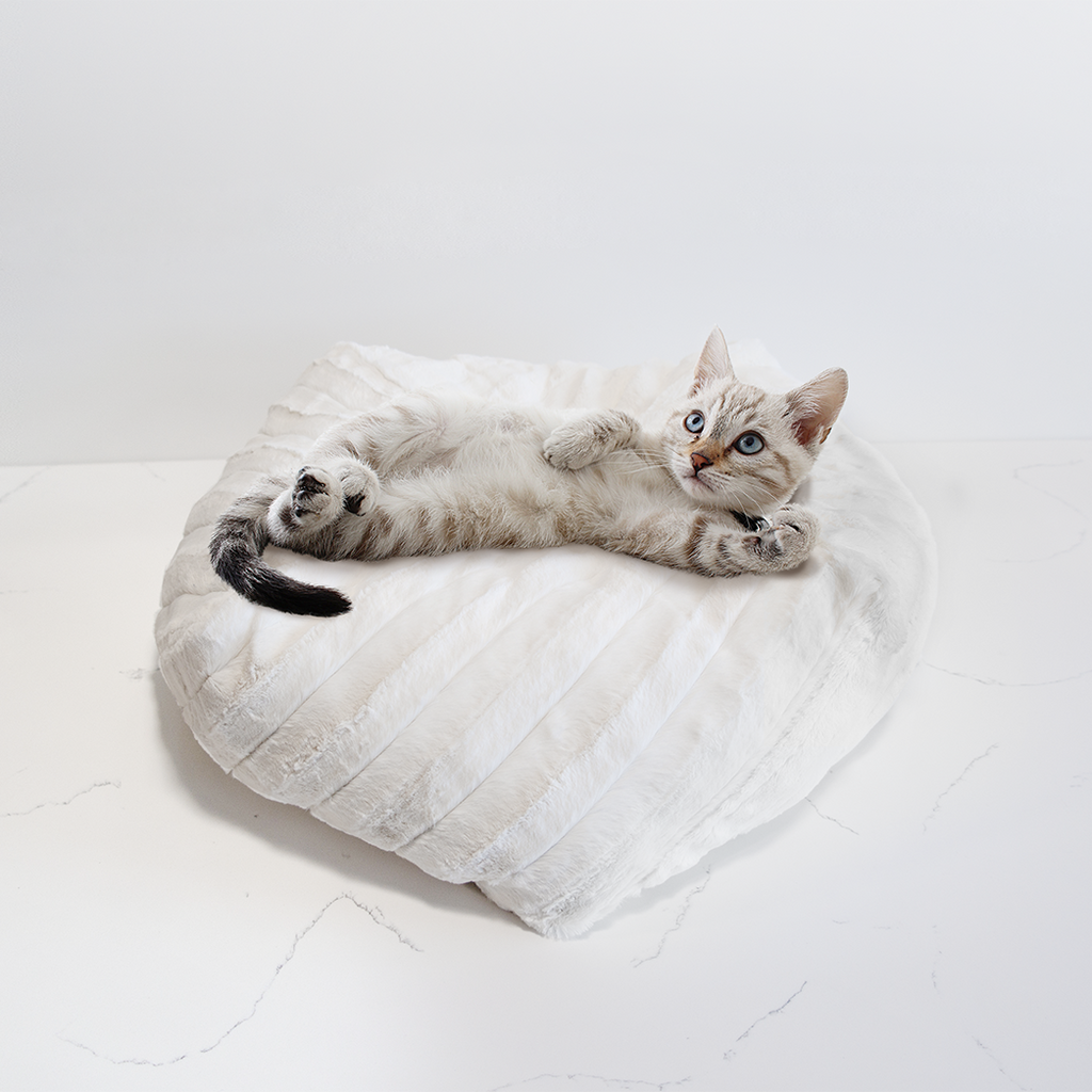 Dailypets Plush Comfort Pouf Cat Bed