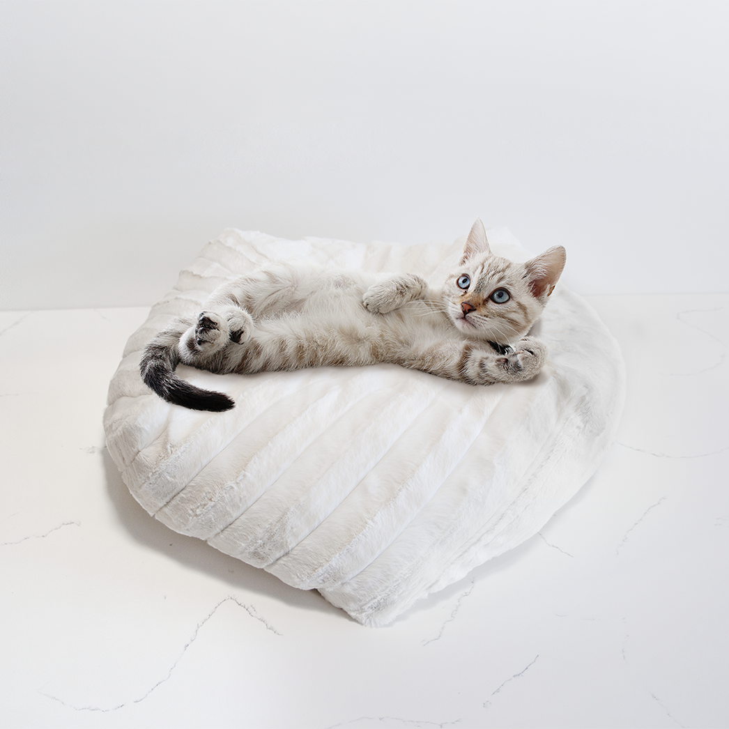 Dailypets Plush Comfort Pouf Cat Bed