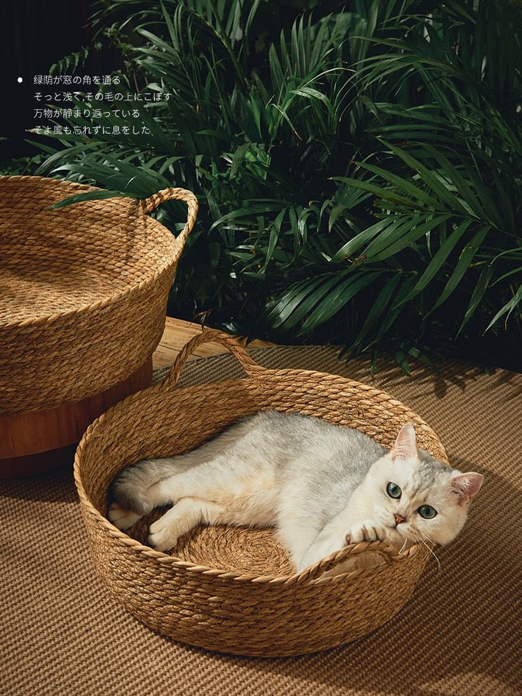 Dailypets Handwoven Cat Basket Bed – Breathable Natural Cat Lounge for Indoor Cats