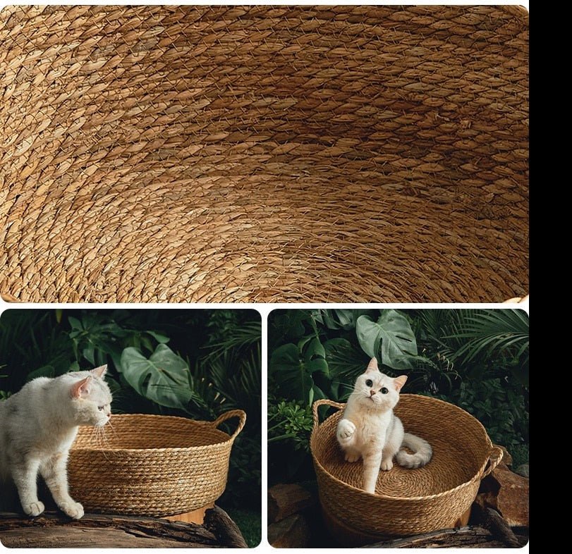 Dailypets Handwoven Cat Basket Bed – Breathable Natural Cat Lounge for Indoor Cats