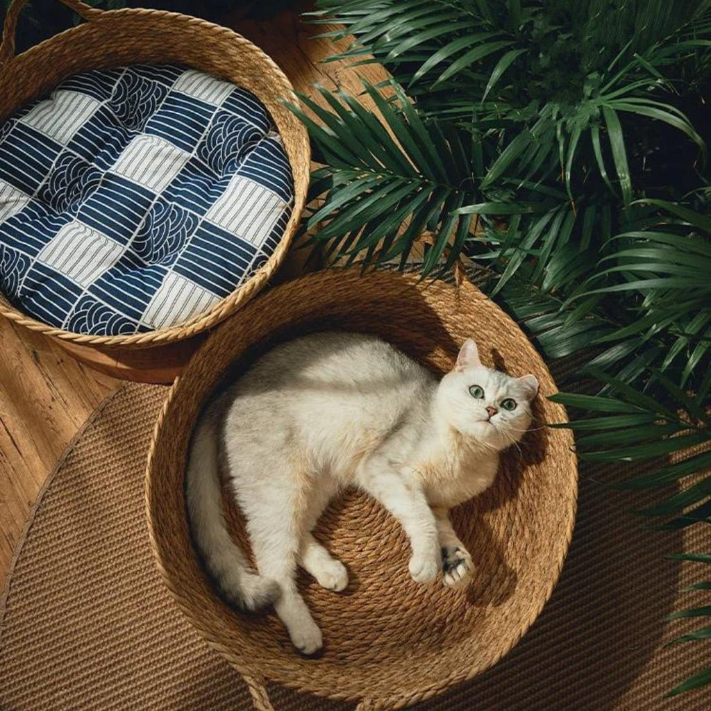 Dailypets Woven Cat Retreat – Cozy Basket Bed for Indoor Cats
